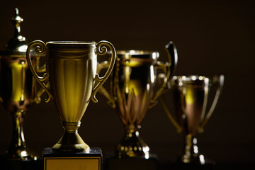 trophy on the wood background