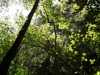 The beaches of Potami on the greek island of Samos in the turquoise Aegean Sea, Greece