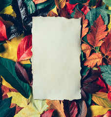 Colorful autumn leaves with old scrap paper note