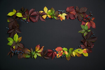 Creative design concept frame of colorful fall leaves whith berries on black minimalistic background