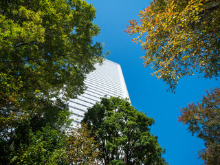 色づき始めた浜離宮恩賜庭園の木々　10月