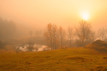 Fototapeta na wymiar Misty autumn landscape