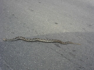 The colorful and beautiful landscapes of the mountains and valleys on the greek island of Samos in the Aegean Sea, Greece