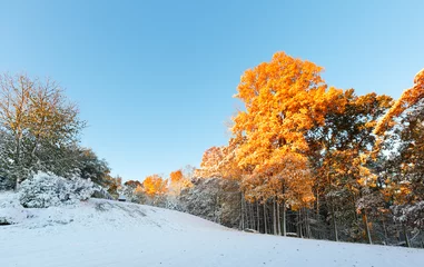  Winter landscape with fall foliage of New England at sunrise after the first snow, Boston, Massachusetts, USA. © jayyuan