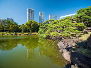 Fototapeta premium 秋晴れの青空広がる東京の浜離宮庭園の風景 10月