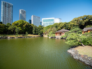 秋晴れの青空広がる東京の浜離宮庭園の風景　10月