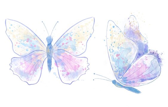 Watercolor butterflies isolated on white background. Watercolor illustration. 