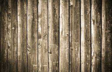 background © Alisa