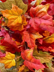 red autumn leaves close up