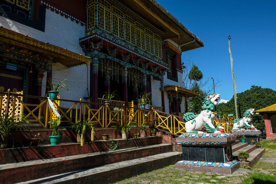 Pelling, India - October 2020: Statues of two lions in the Pemayangtse Monastery on October 30, 2020 in Pelling, Sikkim, India.