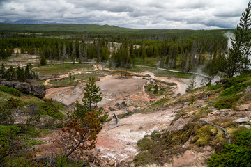 Fototapeta na wymiar Hot springs and geysers (including Blood Geyser) along the Artists Paint Pots trail in Yellowstone National Park Wyoming