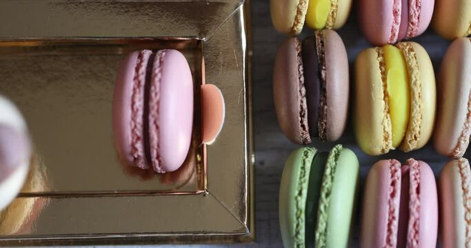 multicolor macarons , French macaroon, greedy pastry