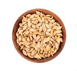 Malted barley grains in wooden bowl, isolated on white background. Barley seed close up. Top view.