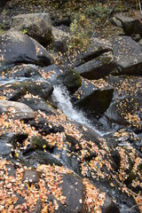 Waterfall in Autumn