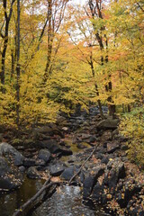 Waterfall in Autumn