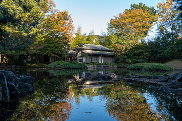 秋の日本庭園
