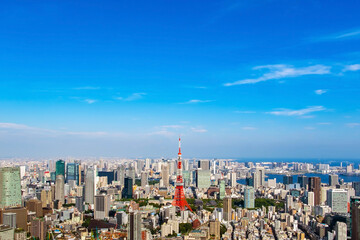 Fototapeta na wymiar Cityscape of Tokyo skyline, panorama aerial skyscrapers view of office building and downtown in Tokyo on a sunny day. Japan, Asia.