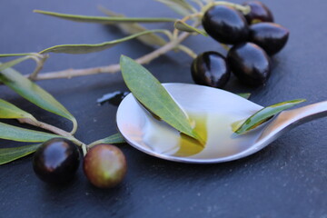 Branche d'olives et cuillère d'huile d'olive