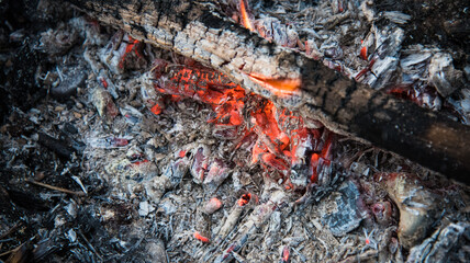 Embers in the fire. Dry, thin branches were added to the fire.