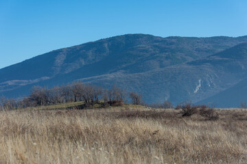 Autumn in Rodopi Mountain