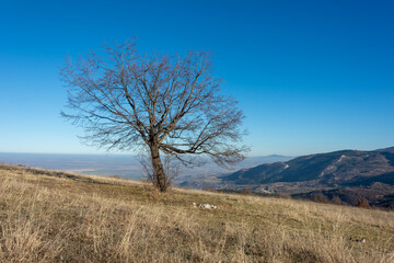Autumn in Rodopi Mountain