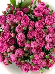Obraz na płótnie Canvas very beautiful bouquet of pink roses