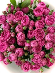 very beautiful bouquet of pink roses