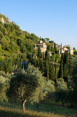 Rocca d'Orcia 3