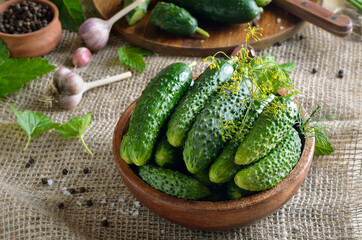 Fresh cucumbers in wooden bowl