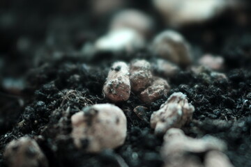 stone on the ground