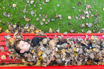 Young boy on a bench covered with autumn leaves