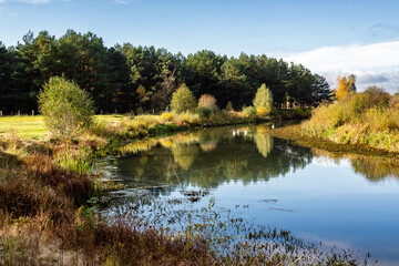 Fototapeta na wymiar Jesienny krajobraz doliny rzeki Narew, Podlasie, Polska 