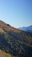 mountains, forest, autumn,
