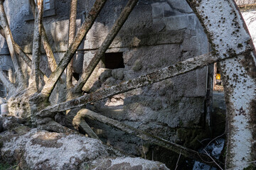 old wheel of a watermill