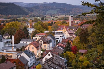 Fototapeta na wymiar Blick über den Freiburger Stadtteil Littenweiler im Herbst