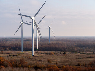 wind turbines farm