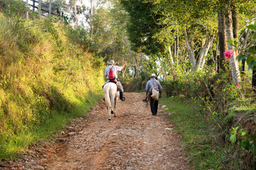 person riding a horse