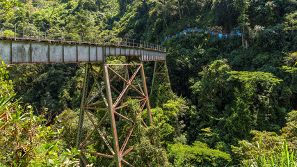 bridge over the river