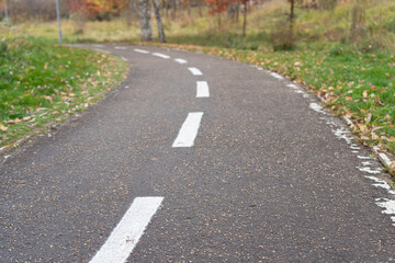 Road through fall colors in Moscow.