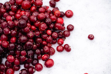 Frozen cranberries in the snow. Close up.