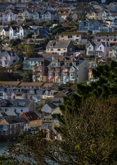Salcombe Harbour  from Snapes Point