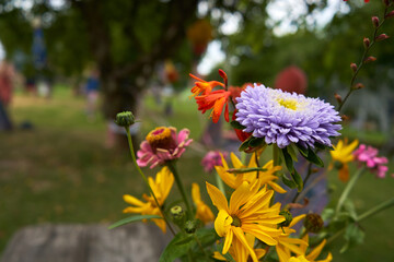 Yellow and purple flowers in the garden