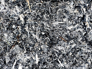 Gray ash background texture, ash, gray ash from wood on the street