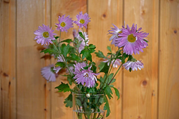 chrysanthemums in a glass against a wooden not colored wall