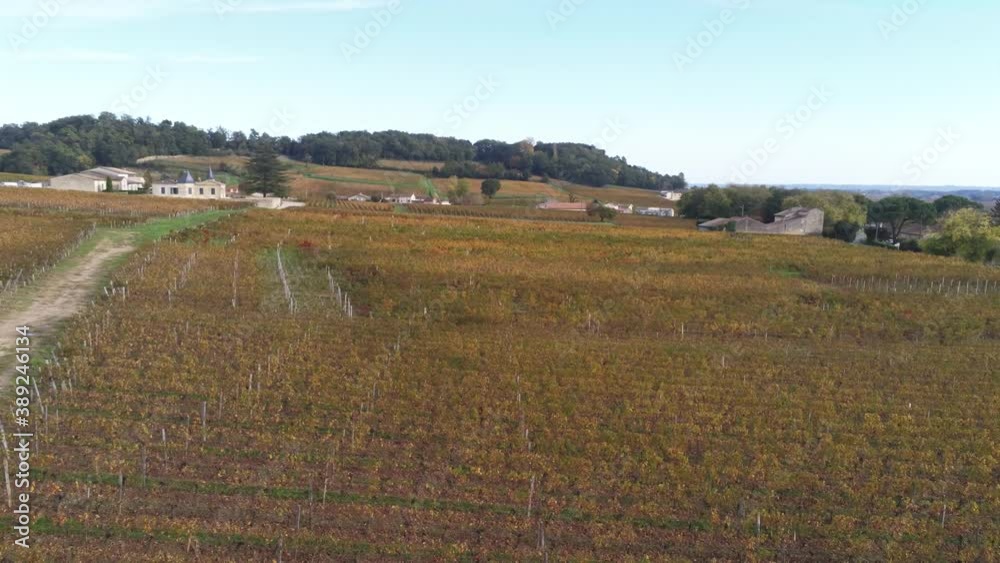 Wall mural Vignes de Saint-Émilion en Gironde, vue aérienne en automne