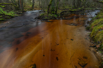 Jezerni creek in autumn color morning with red water and green beautiful forest