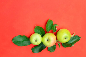 Green apples with leaves on a red background with space for text. Advertising, poster, postcard.