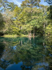 Wes Skiles Peacock Springs State Park, Florida - View of Peacock II Spring