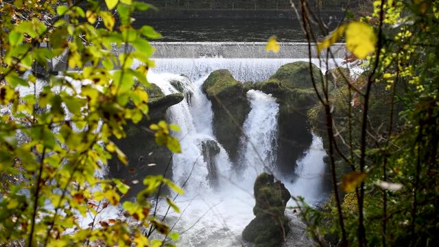 Der Traunfall - ein Wasserfall der Traun in Ober&ouml;sterreich zwischen Steyrerm&uuml;hl und Roitham am Traunfall, Europa, &Ouml;sterreich