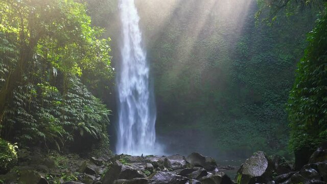Beautiful Waterfall in the rays of the rising sun hidden in tropical rain forest jungle. 4K